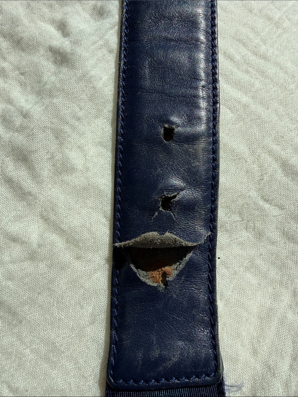Gucci Navy Web Belt with Silver Double G Buckle - Picture 7 of 12
